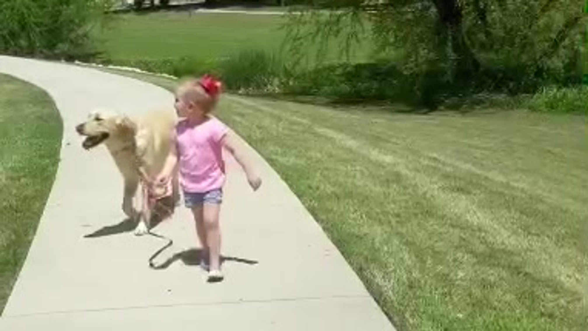 Toddler Leash Training
